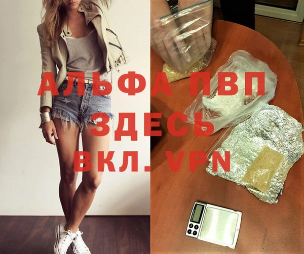 тгк Алзамай