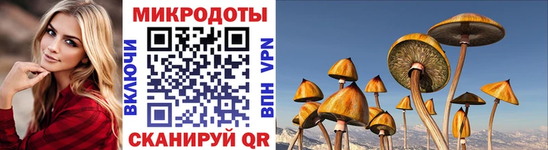Псилоцибиновые грибы прущие грибы Черноголовка