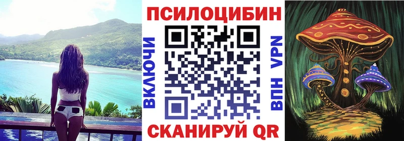 хочу   blacksprut вход  Псилоцибиновые грибы Psilocybe  Черноголовка 